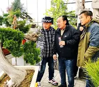 包含德比郡蓄势待发，欲吐敦维永远恩之耐城的词条
