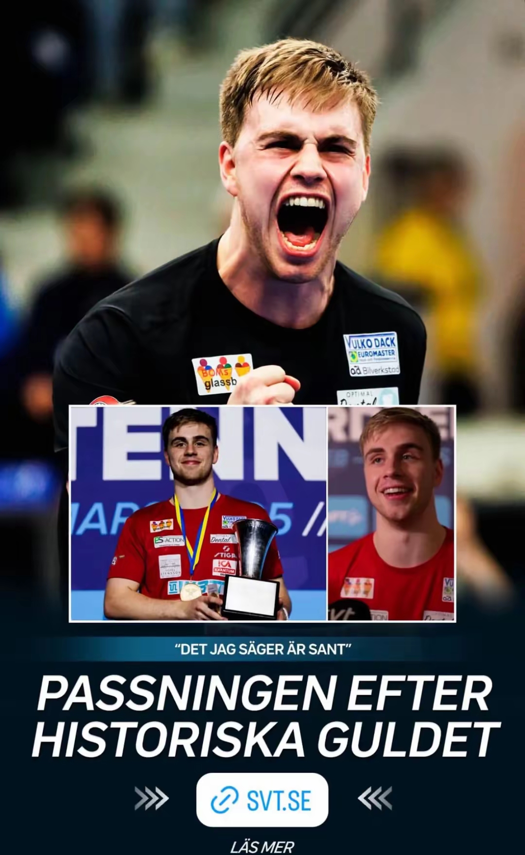 包含瑞典队球员奋力争胜,取得重要胜利的词条 包含瑞典队球员奋力争胜,取得重要胜利的词条