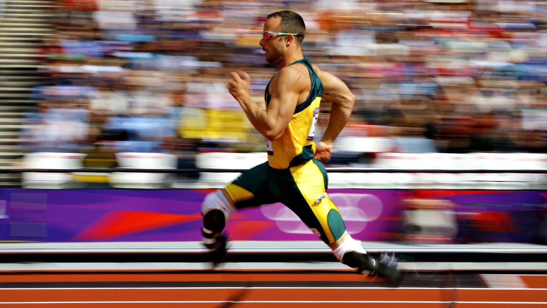 锁链与铁幕，霍勒迪的防守艺术如何映射森林狼的团队哲学