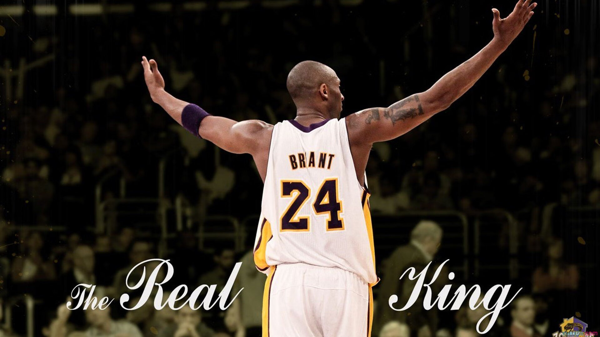 开云平台-楚阿梅尼与钢铁洪流，当皇马的精密机器碾过乌克兰的意志防线